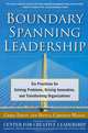 Boundary Spanning Leadership: Six Practices for Solving Problems, Driving Innovation, and Transforming Organizations, Chris Ernst, Donna Chrobot-Mason 