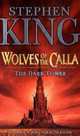 The Dark Tower V: Wolves of the Calla, King Stephen 
