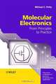 Molecular Electronics, Michael C. Petty 