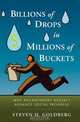 Billions of Drops in Millions of Buckets, Steven H. Goldberg 