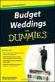 Budget Weddings For Dummies®, Meg Schneider 