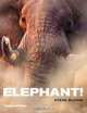 Elephant!, Steve Bloom 