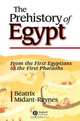 The Prehistory of Egypt, Beatrix Midant–Reynes 