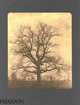 William henry fox talbot, Batchen, Geoffrey 