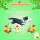 The Silly Sheepdog, Heather Amery 