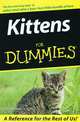 Kittens for Dummies, Dusty Rainbolt 