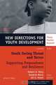 Youth Facing Threat and Terror: Supporting Preparedness and Resilience, Robert D. Macy 