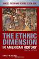 The Ethnic Dimension in American History, James S. Olson 