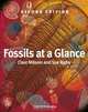 Fossils at a Glance, Clare Milsom 