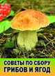 Советы по сбору грибов и ягод, Беляев А.В. 