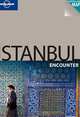 Istanbul Encounter, Virginia Maxwell 