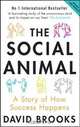 The Social Animal: A Story of How Success Happens, Brooks D. 