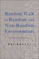 Random Walk in Random And Non-random Environments, Pal Revesz 