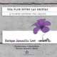 Una flor entre las grietas * A Flower Between the Cracks (Spanish Edition), Enrique Jaramillo Levi 