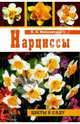 Нарциссы. Цветы в саду, Ипполитова Нина Яковлевна 
