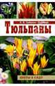 Тюльпаны, Зайцева-Тушнова Евгения Николаевна 