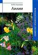 Лилии, Киреева Маргарита 