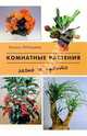 Комнатные растения: легко и просто, Лебедева Елена Павловна 