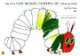 My Own Very Hungry Caterpillar (Colouring Book), Eric Carle 