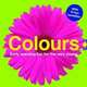 Colours (board book), Priddy, Roger 