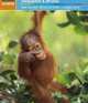 The Rough Guide to Malaysia, Singapore & Brunei, R. Lim, S. Martin 