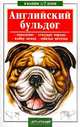 Английский бульдог - (В вашем доме), Михаил Джимов 