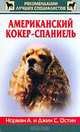 Американский кокер-спаниель, Норман А. и Джин С. Остин 