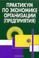 Практикум по экономике организации (предприятия): Учеб. пособие /Под ред. П.В. Тальминой, Е.В. Чернецовой. - 2-е изд., доп., Тальмина П.В., Чернецова Е.В. 