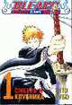 Bleach. Книга 1. Смерть и клубника, Кубо Т. 
