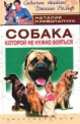 Собака, которой не нужно бояться, Наталия Криволапчук 
