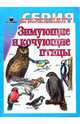 Зимующие и кочующие птицы, 