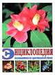 Энциклопедия комнатного цветоводства, Головкин Б.Н. 