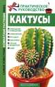Кактусы, Кулиш С.В. 