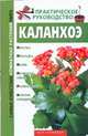 Каланхоэ, Комарова Г.В. 