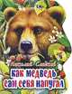 Как медведь сам себя напугал, Сладков Н.И., Цыганков И. 