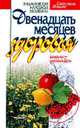 Двенадцать месяцев здоровья: июль - декабрь, Ильина С.И. 