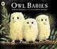 Owl Babies, Waddell Martin 