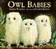 Owl Babies, Waddell Martin 