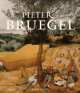 Pieter Bruegel, Larry Silver 
