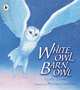 White Owl, Barn Owl (+ Audio CD), Davies Nicola 
