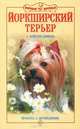 Йоркширский терьер. Красота и дружелюбие, С. Бойтлер-Демель 