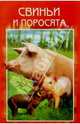 Свиньи и поросята. Разведение. Выращивание. Использование продукции, 
