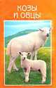 Козы и овцы. Разведение. Выращивание. Использование продукции, 