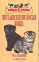 Шотландская вислоухая кошка, Е. Шевченко 