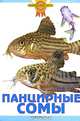 Панцирные сомы, Гуржий А.Н. 