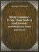 Sixty common birds, their habits and haunts. Bird studies for home and school, Herman C. De Groat 