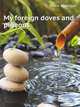 My foreign doves and pigeons, Rosie Alderson 