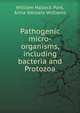 Pathogenic micro-organisms, including bacteria and Protozoa, William Hallock Park 