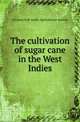 The cultivation of sugar cane in the West Indies, German Kali works Agricultural bureau 