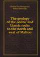 The geology of the oolitic and Liassic rocks to the north and west of Malton, Charles Fox-Strangways 